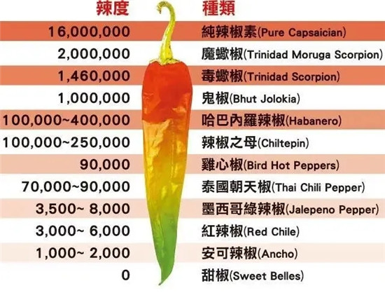 龙息辣椒有多恐怖？一颗能辣到休克，厨师都不敢用手摸！